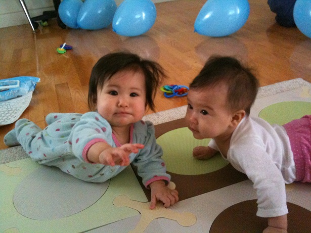 Starting to be more interactive with Iris